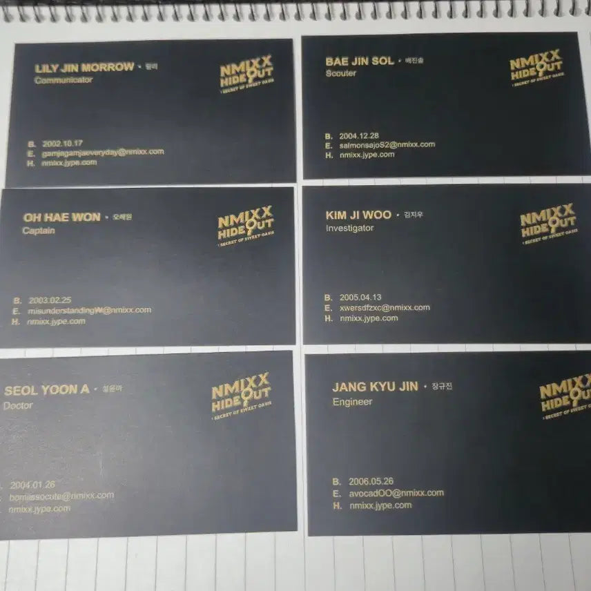 [SOLD OUT] 엔믹스 공식 1주년 카페 명함
