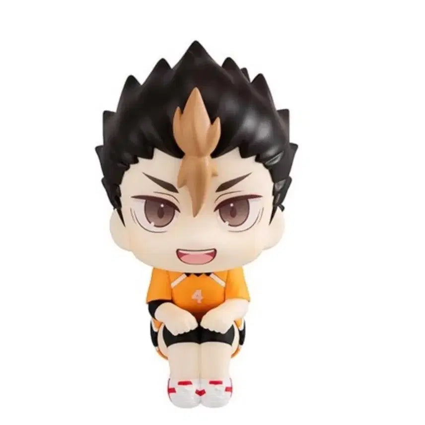 [BUNJANG] Haikyuu Nishinoya Look Up / 하이큐 니시노야 룩업 양도