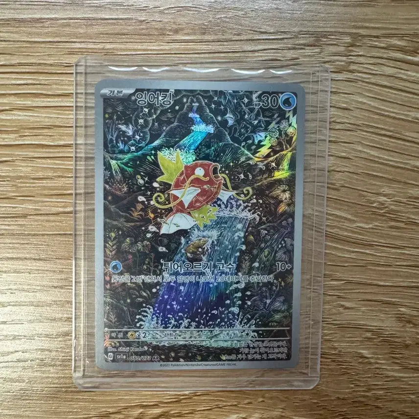 [BUNJANG] Pokemon Trading Card Bundle - Featuring Groudon, Yveltal, Mega Charizard X, Pidgeot ex, and more / 잉어킹,냐오하,그란돈,이벨타르,플러시,수련의 돌봄,메가리자몽X,피죤투ex