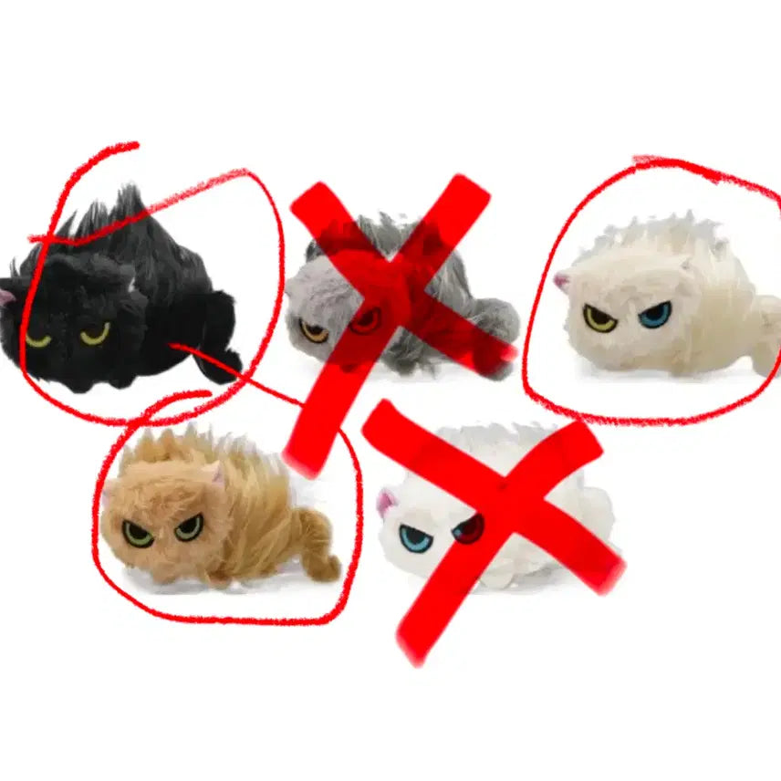 [BUNJANG] Natsukana-i Nekko "Angry Cat" Gacha Plush Set / 나츠카나이 네코 길들여지지 않는 고양이 가챠 화난 고양이 인형