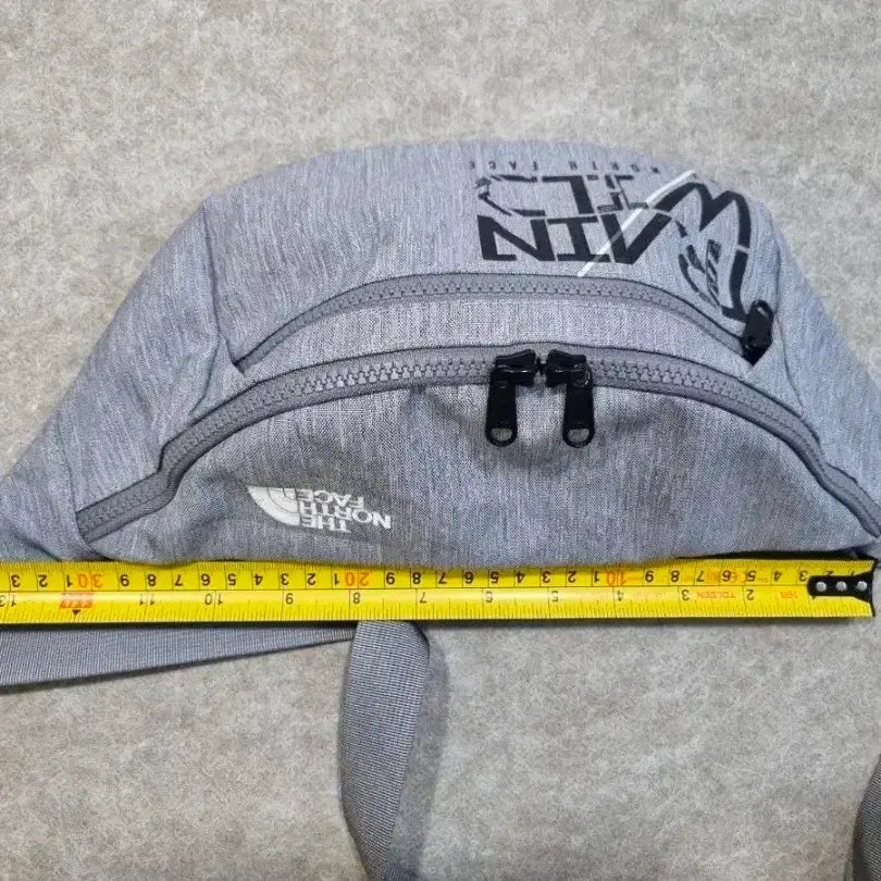 [BUNJANG] The North Face Hip Pack Bag / 노스페이스 힙색 가방