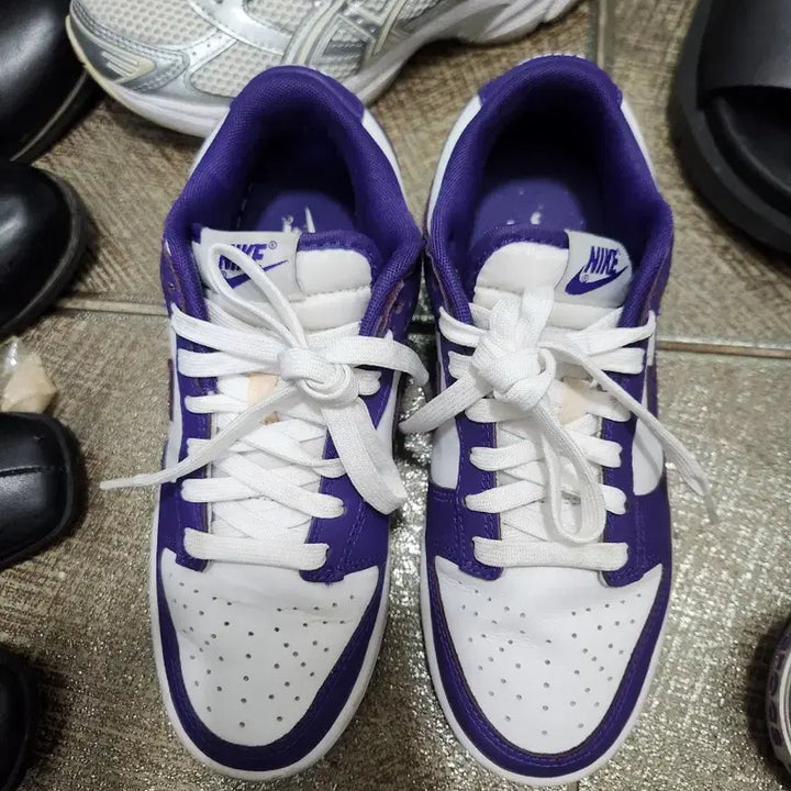 [BUNJANG] Nike Dunk Low Purple / 나이키 덩크 로우 퍼플 240mm