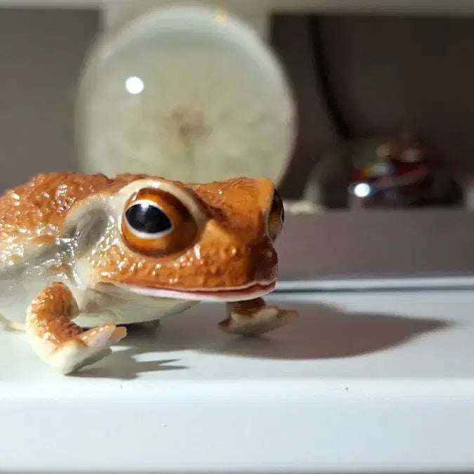 [BUNJANG] Bandai Creatures Gacha Toad Figure / 반다이 생물대도감 두꺼비 가챠