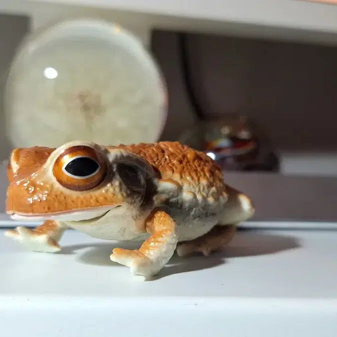 [BUNJANG] Bandai Creatures Gacha Toad Figure / 반다이 생물대도감 두꺼비 가챠