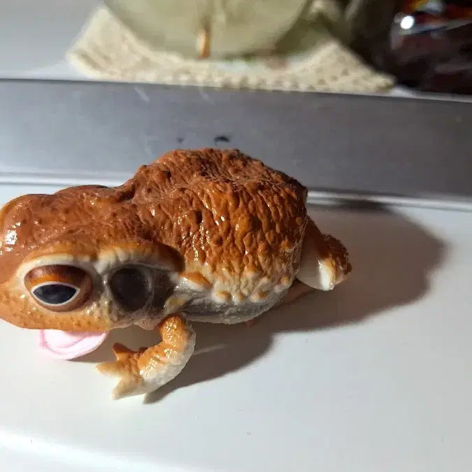 [BUNJANG] Bandai Creatures Gacha Toad Figure / 반다이 생물대도감 두꺼비 가챠