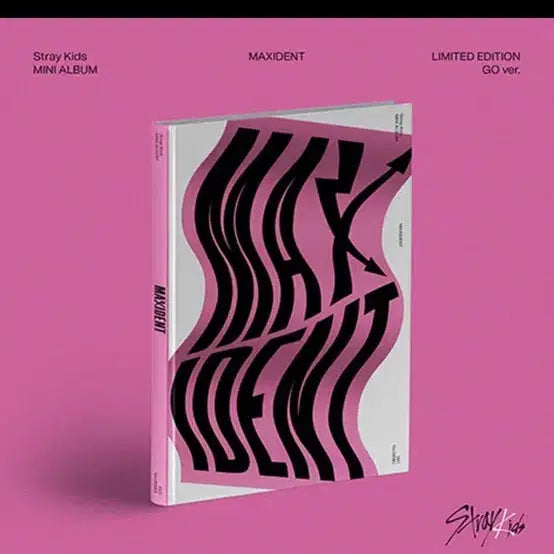 [BUNJANG] Stray Kids MAXIDENT GO Ver. Mini Album (Sealed) / 미개봉 스트레이키즈 미니앨범 MAXIDENT GO ver.
