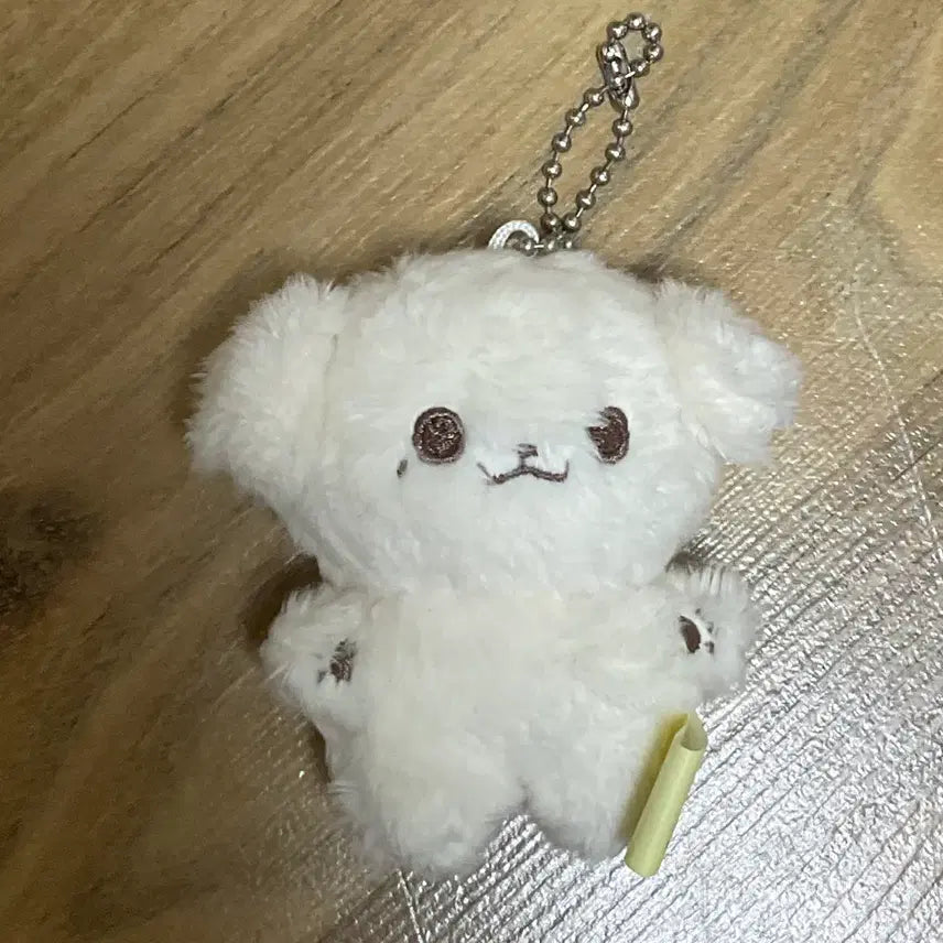 [BUNJANG] Bebe Jjin Plush Doll Jeno / 베베쩬 새상품 엔시티 드림 이제노 인형