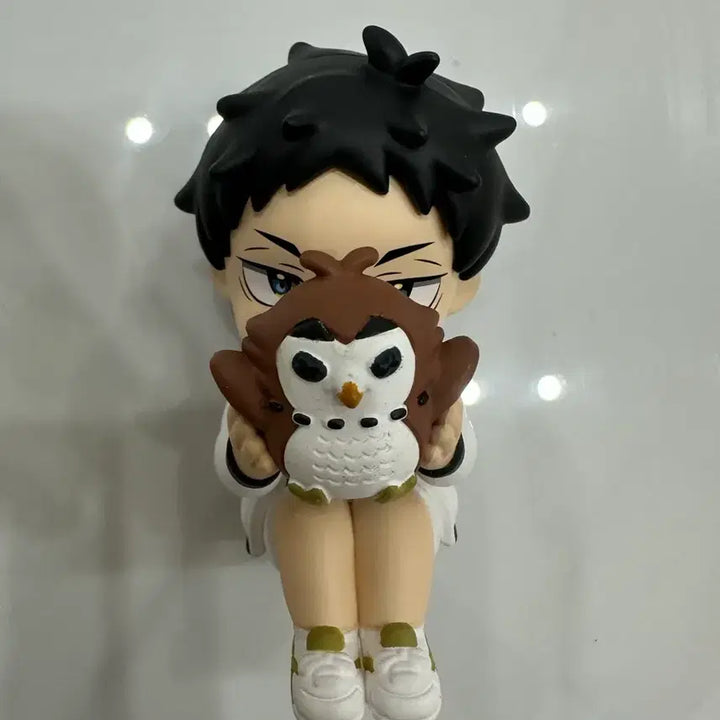 [BUNJANG] Haikyuu!! Keiji Akaashi Hide&amp;Seek Secret Figure / 하이큐 아카아시 케이지 페리하피 숨바꼭질 hide&amp;sick 시크릿 피규어
