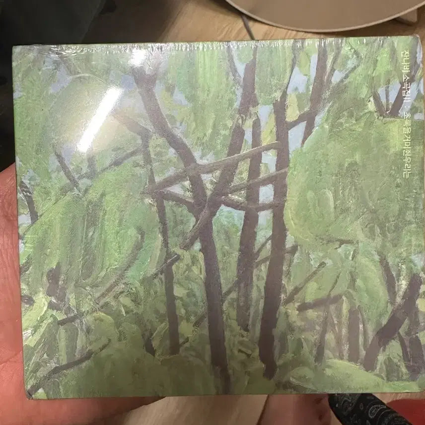 [BUNJANG] Jannabi Green We Who Grasp CD / 미개봉 잔나비 소곡집 초록을거머쥔우리는 CD