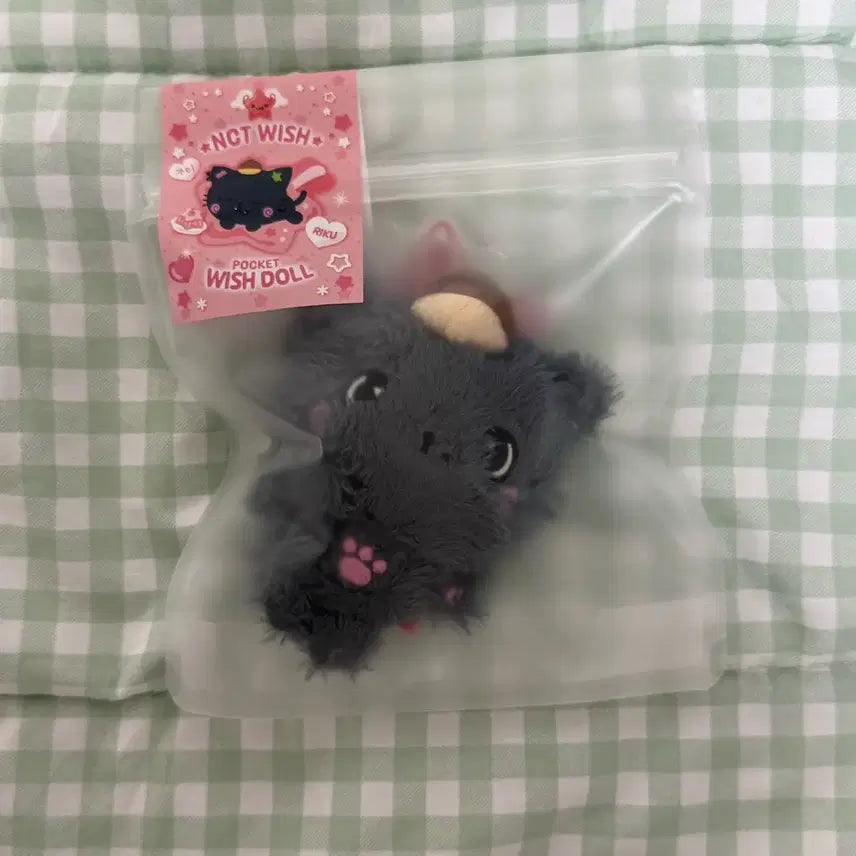 [BUNJANG] NCT Wish Pocket Wish Doll Kuri Doll Riku (Sealed) / 포켓 위시돌 쿠리 미개봉 리쿠 인형 엔시티위시
