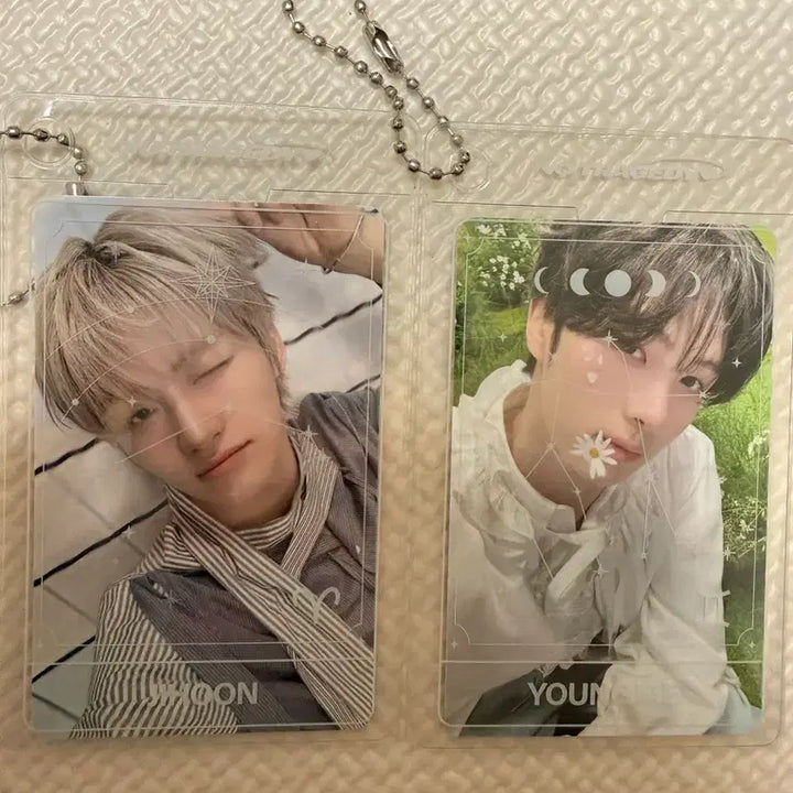[BUNJANG] TWS Weverse POB Photocard Holder / 투어스 위버스 특전 포카홀더