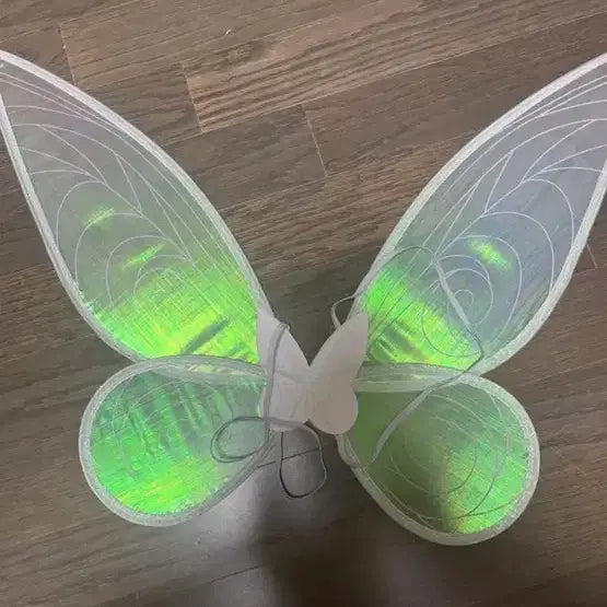 [BUNJANG] Tinkerbell Graduation Dress Rental / 팅커벨 졸업사진