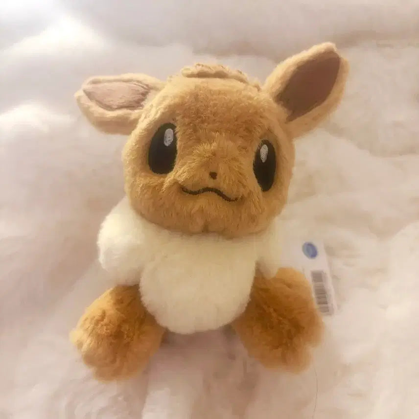 [SOLD OUT] 포켓몬스터 쿠타쿠타탓타 이브이 인형