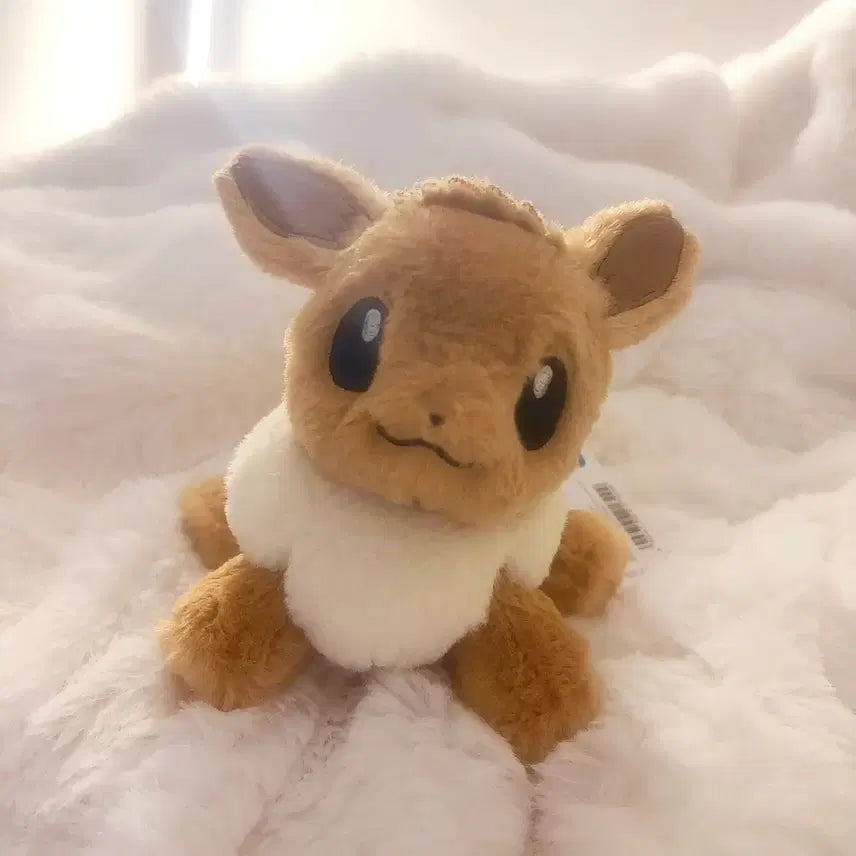 [SOLD OUT] 포켓몬스터 쿠타쿠타탓타 이브이 인형