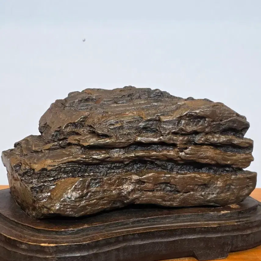[BUNJANG] Namhangang Choco Stone Scholar Rock / 26050101 석질과 주름 변화가 살아있는 남한강 초코석 수석 팝니다