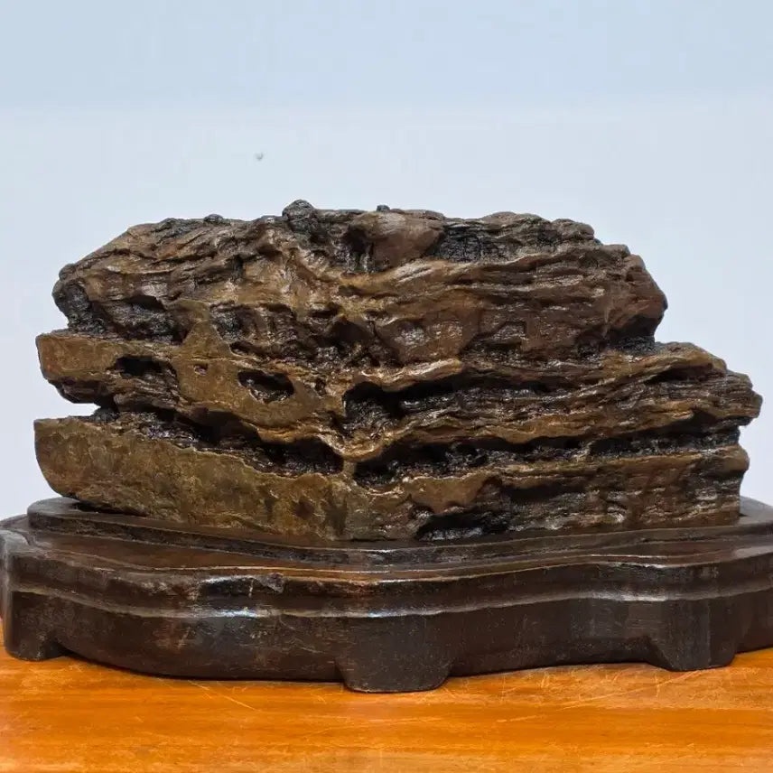 [BUNJANG] Namhangang Choco Stone Scholar Rock / 26050101 석질과 주름 변화가 살아있는 남한강 초코석 수석 팝니다