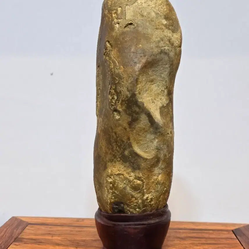 [BUNJANG] Namhae Haeseok Stone / 260501 변화가 좋은 남해 해석 수석 팝니다