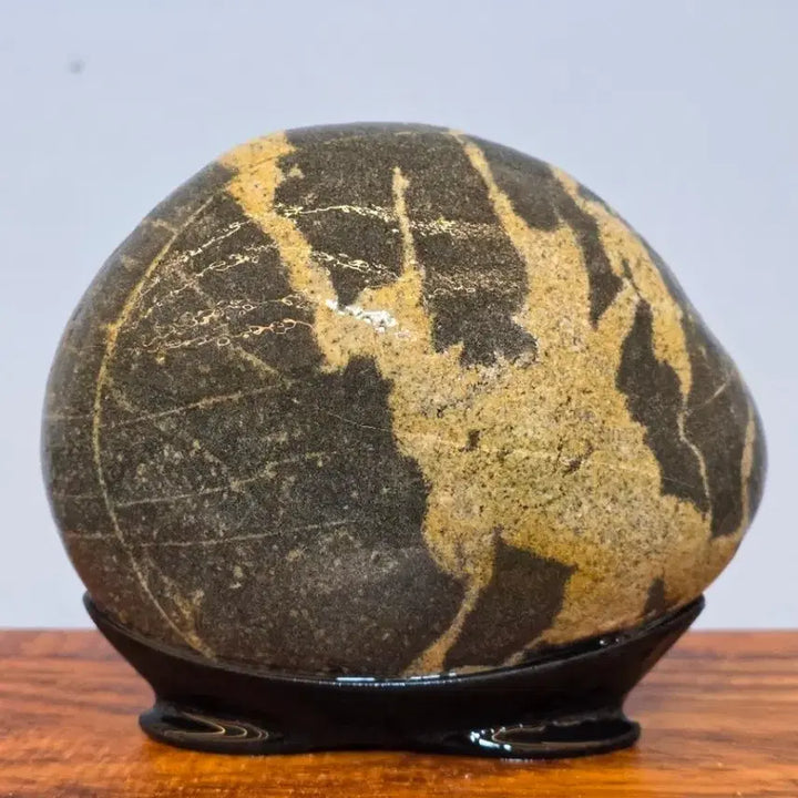 [BUNJANG] Chinese Decorative Stone (Shuseok) with Interesting Pattern / 260501 문양이 재미있는 중국 문양석 수석 팝니다
