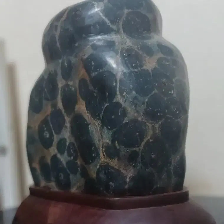 [BUNJANG] Cheongsong Petrified Wood Stone / 수석(청송/보호석)