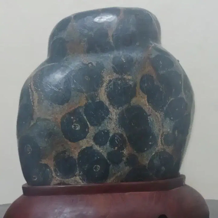 [BUNJANG] Cheongsong Petrified Wood Stone / 수석(청송/보호석)