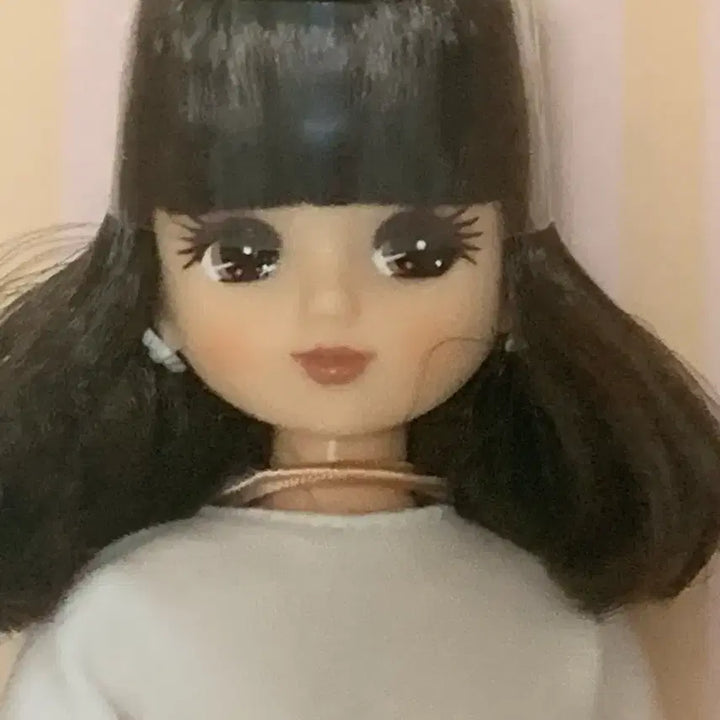 [BUNJANG] Castellica Modelica Auburn Bob Wig / 캐슬리카 모델리카 진갈색 단발