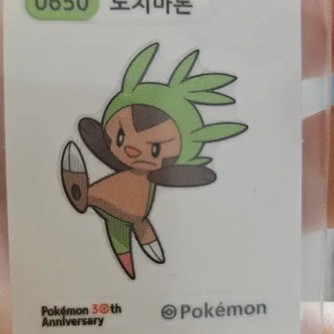 [BUNJANG] Pokemon 30th Anniversary Chespin Sticker / 포켓몬스터 도치마론 30주년 기념 띠부씰