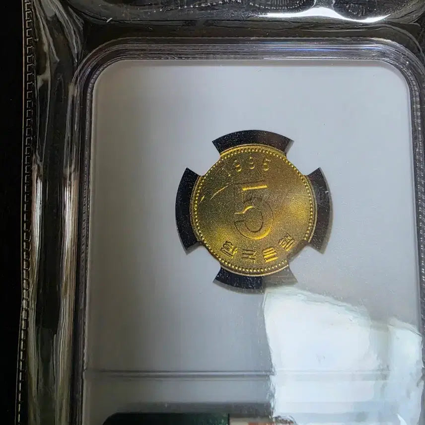 [SOLD OUT] 1995년 1,5주(특특년도) NGC 등급주  일괄