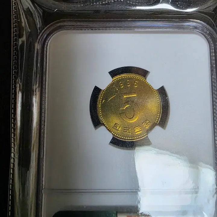 [SOLD OUT] 1995년 1,5주(특특년도) NGC 등급주  일괄