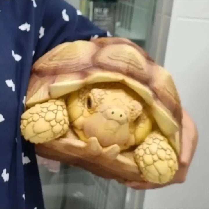 [BUNJANG] Turtle Figurine / 거북이 피규어