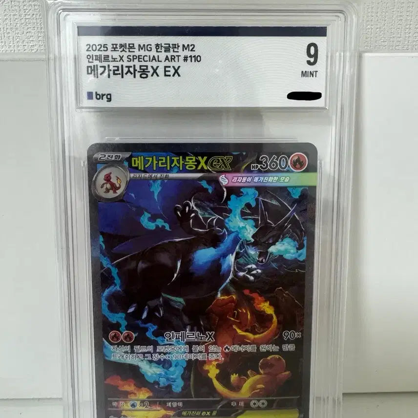 [SOLD OUT] 메가리자몽 X ex SAR(BRG 9등급)