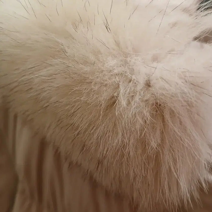 [BUNJANG] Plastic Island Hooded Short Padding with Fox Fur Trim (Ivory, S) / 7/26 플라스틱아일랜드 후드 여우털 숏패딩 아이보리 S
