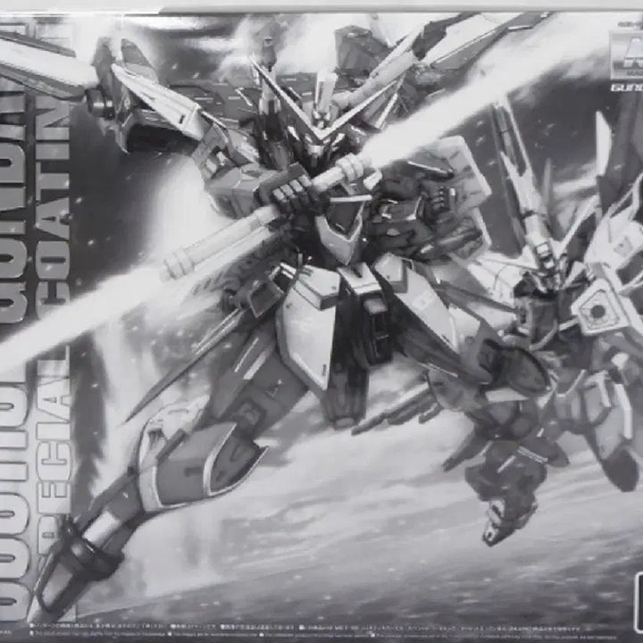 [BUNJANG] Bandai MG Justice Gundam Special Coating Model Kit / mg 저스티스 건담 스페셜코팅