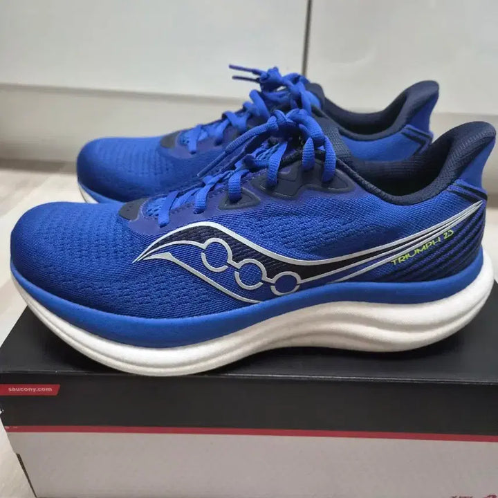 [BUNJANG] Saucony Triumph 23 Running Shoes (270mm) / 서코니 트라이엄프23 270 팝니다.