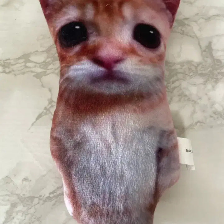 [BUNJANG] Cat Meme Plush Doll / 고양이 짤 인형 판매합니다