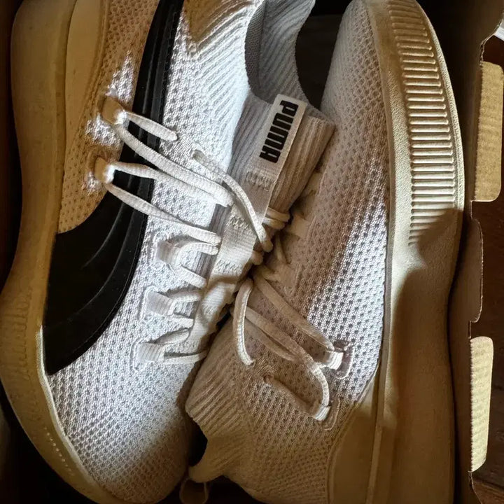 [BUNJANG] Puma Clyde Court White Basketball Shoes 250 / 푸마 클라이드 코트 GW 흰색 농구화 250