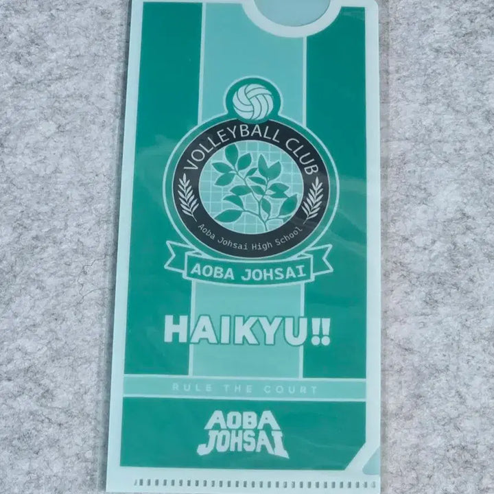 [BUNJANG] Haikyuu!! 10th Anniversary Aoba Johsai Ticket Holder / 하이큐 10주년 아오바조사이 티켓 바인더 홀더