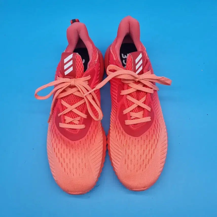 [BUNJANG] Adidas Alphabounce Women&