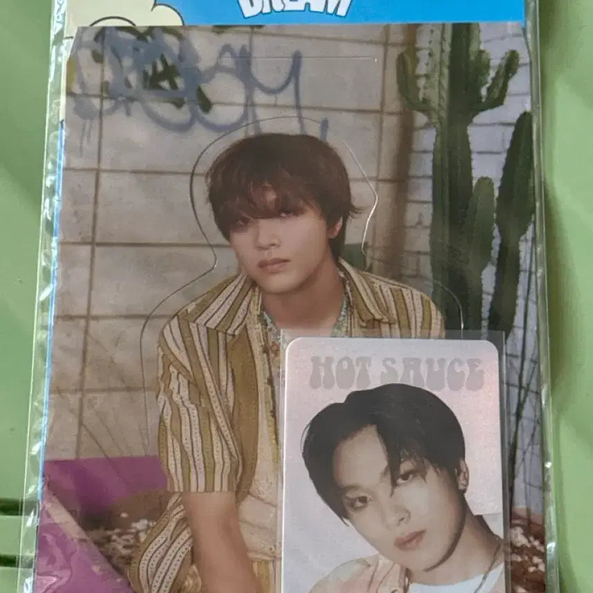 [BUNJANG] NCT Dream Haechan Hologram Photocard / 해찬 엔시티 드림 홀로그램 포토카드 해찬 포카