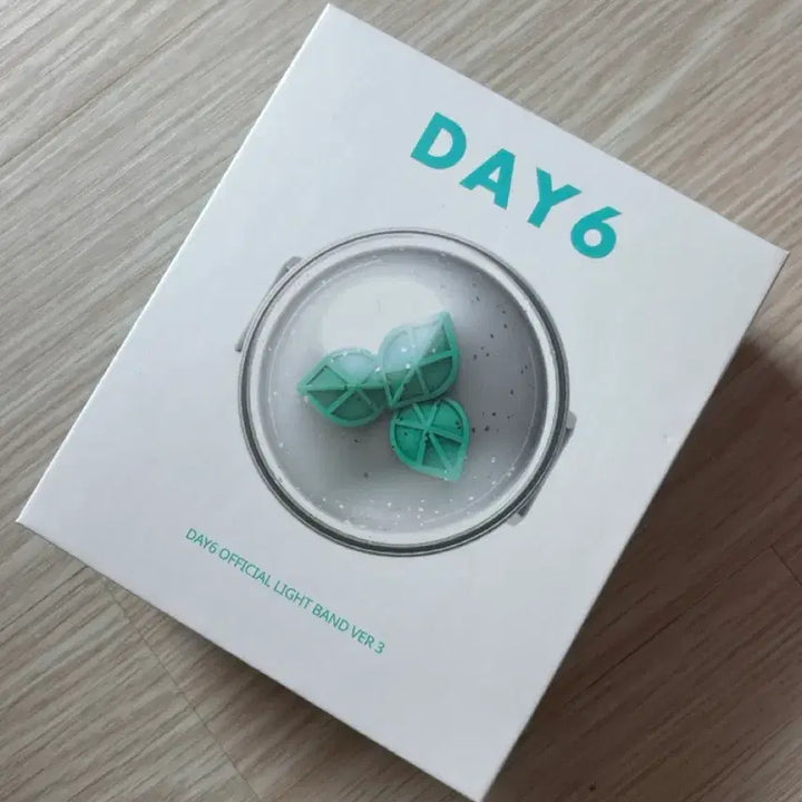 [BUNJANG] DAY6 Official Lightstick Ver. 3 / 데이식스 응원봉ver3