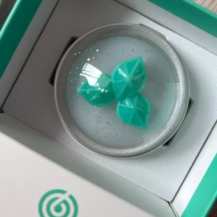 [BUNJANG] DAY6 Official Lightstick Ver. 3 / 데이식스 응원봉ver3