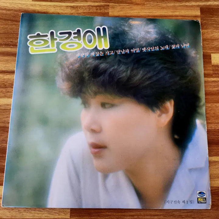 [BUNJANG] Han Kyung-ae Hit Songs Collection LP / 한경애 힛트곡모음 LP / NM