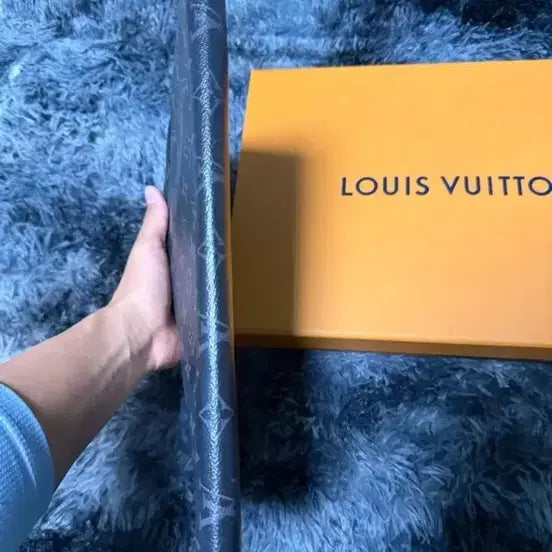 [BUNJANG] Louis Vuitton Apollo Clutch / 루이비통 아폴로 클러치