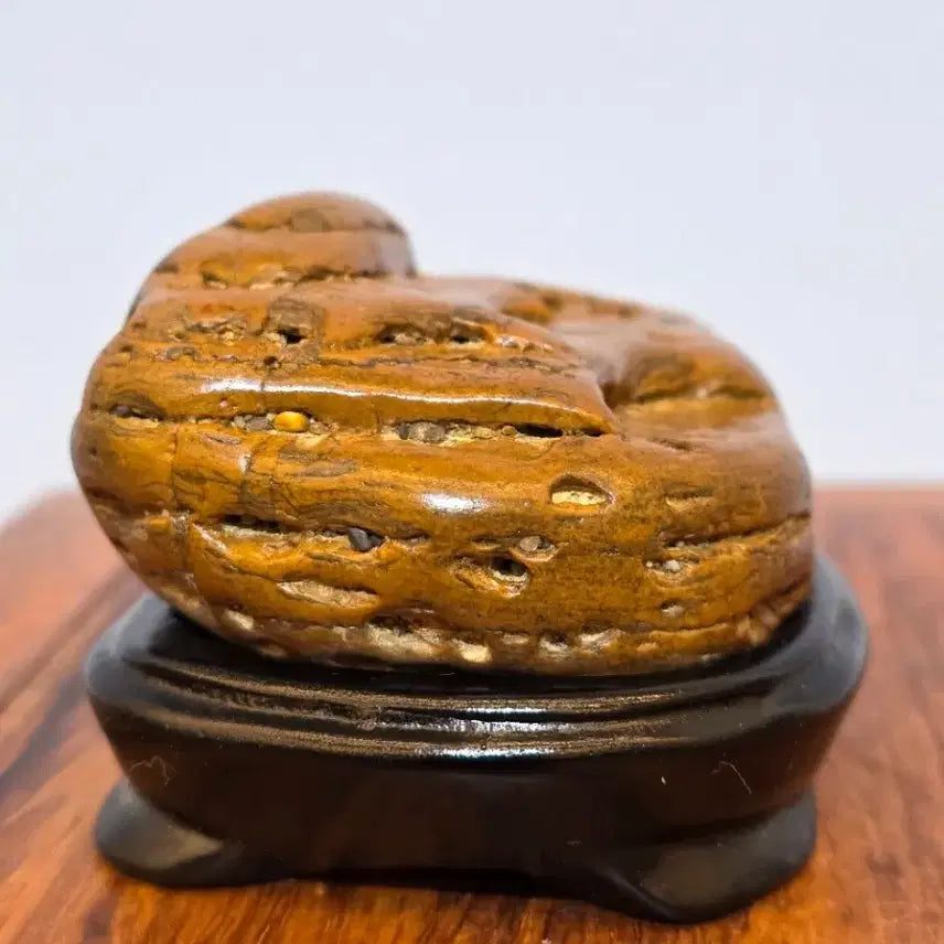 [BUNJANG] Chinese Taihu Stone Scholar Rock / 260501 석질과 변화가 좋은 중국 따와석 수석 팝니다