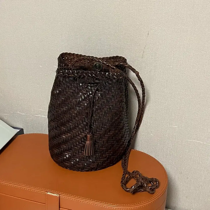 [BUNJANG] Dragon Diffusion Pompom Bag Dark Brown / 드래곤디퓨전 폼폼백 다크브라운