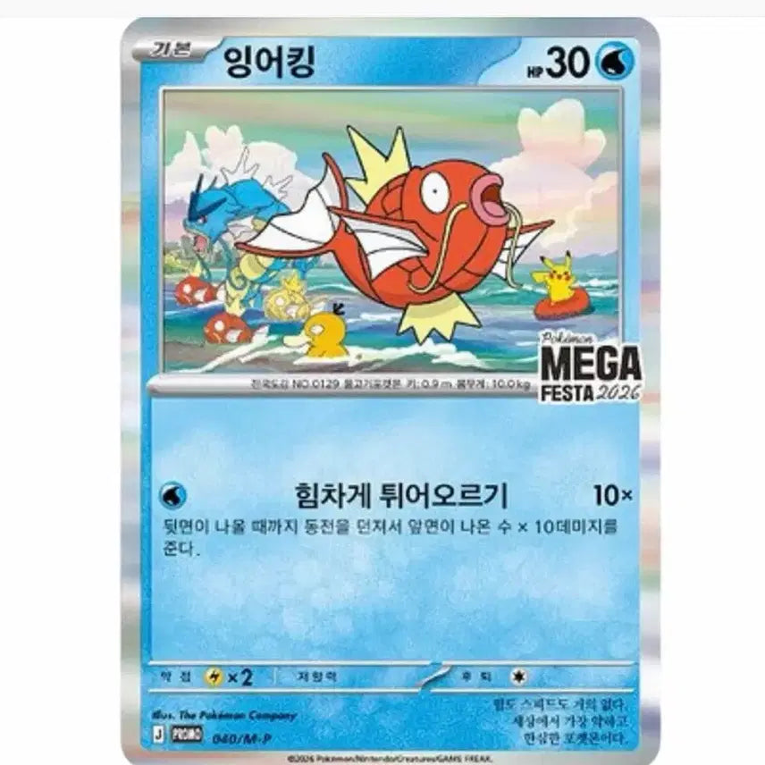 [SOLD OUT] 포켓몬 잉어킹 MEGA FESTA 2026 카드 최고가 매입