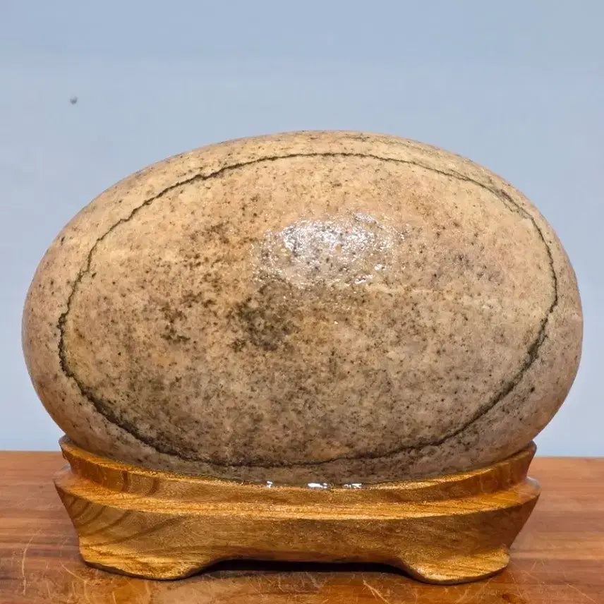 [BUNJANG] Namhangang Calligraphy Brush Pattern Stone (Suseok) / 260501 문양이 독특한 남한강 세필 문양석 수석 팝니다