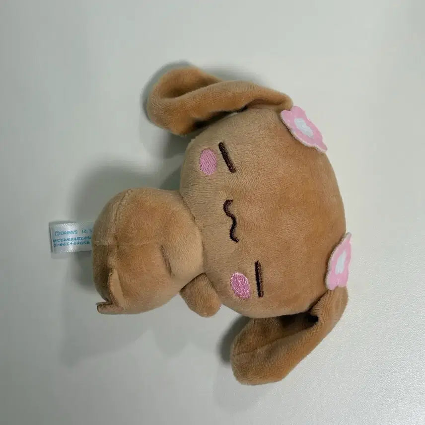 [BUNJANG] Sanrio Cinnamoroll "Sleeping Mocha" Plush Doll (Rare) / 눈감은 잠자는 시나모롤 시나프렌즈 오야스미 낮잠 모카 인형