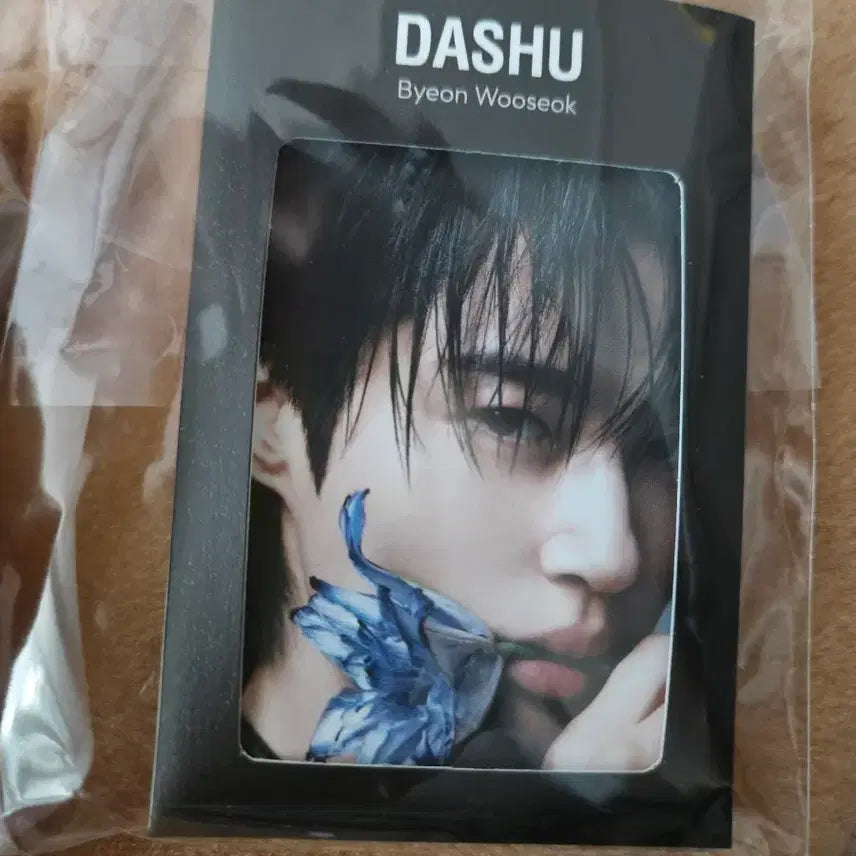 [SOLD OUT] 변우석 다슈 포카 6종 미개봉