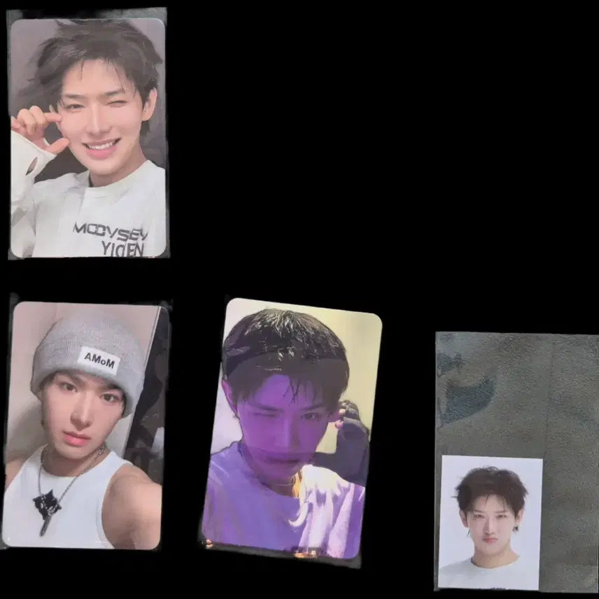 [BUNJANG] MODISEY EICHEN Bundle Set Photocard / 모디세이 이첸 포토카드 일괄