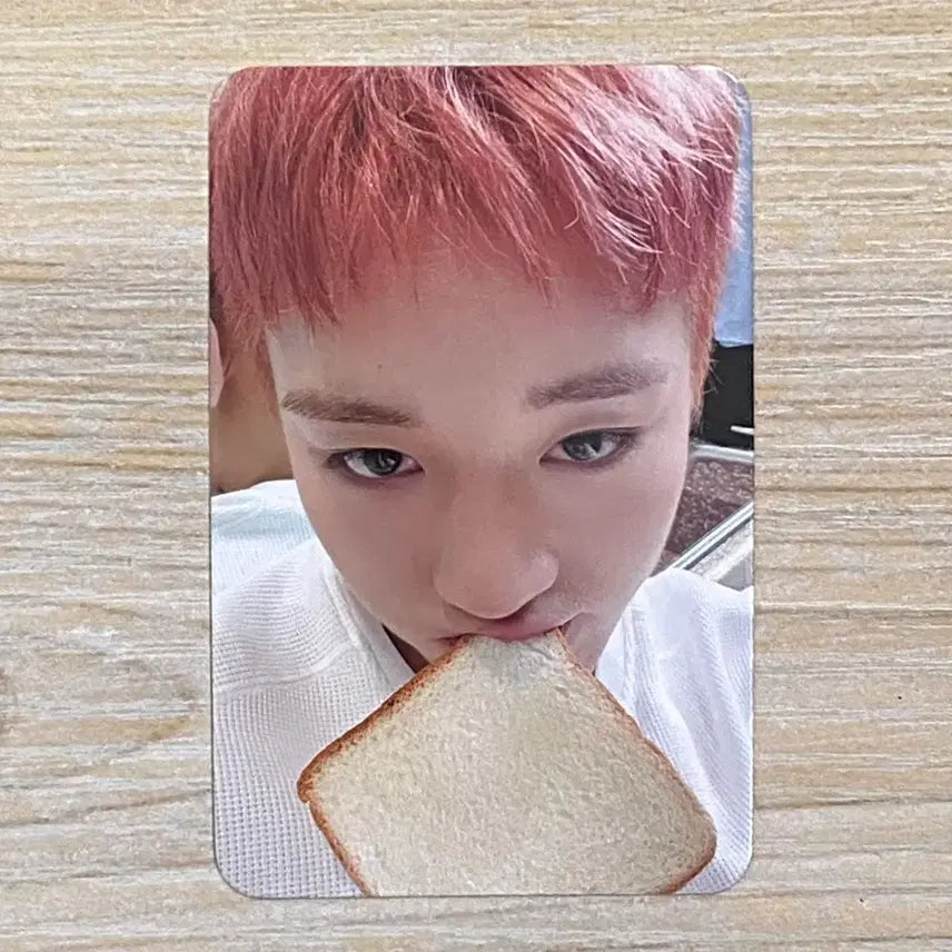 [SOLD OUT] 뮤직앤드라마 박지훈 식빵 포카 판매